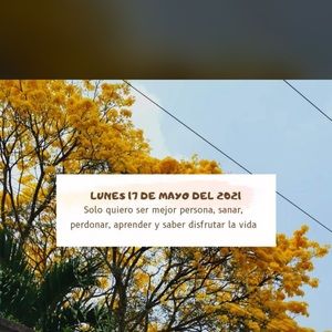 Meet your Posher, Karla